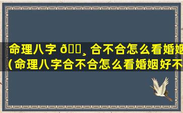 命理八字 🕸 合不合怎么看婚姻（命理八字合不合怎么看婚姻好不好）